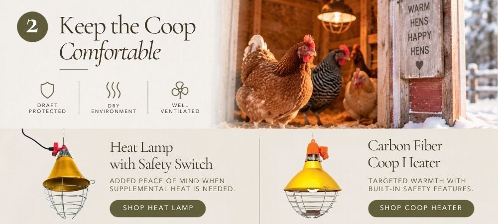 Heat Lamps