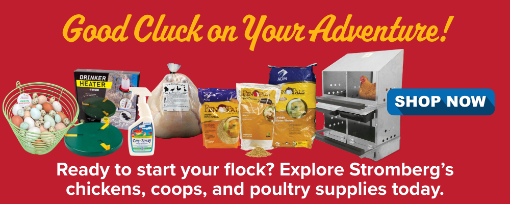 Poultry Supplies Order Chickens, Coops and Poultry Supplies