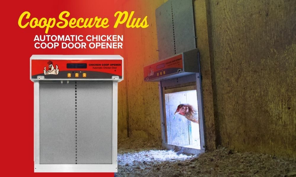 Coop Secure Plus