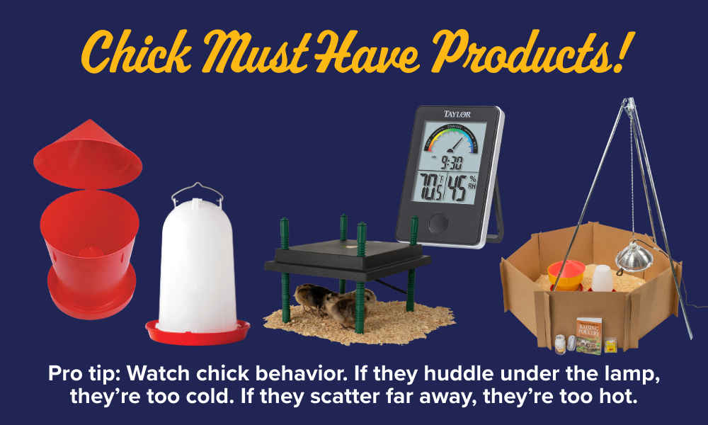 Shop Baby Chick Products Chick Must Have Products