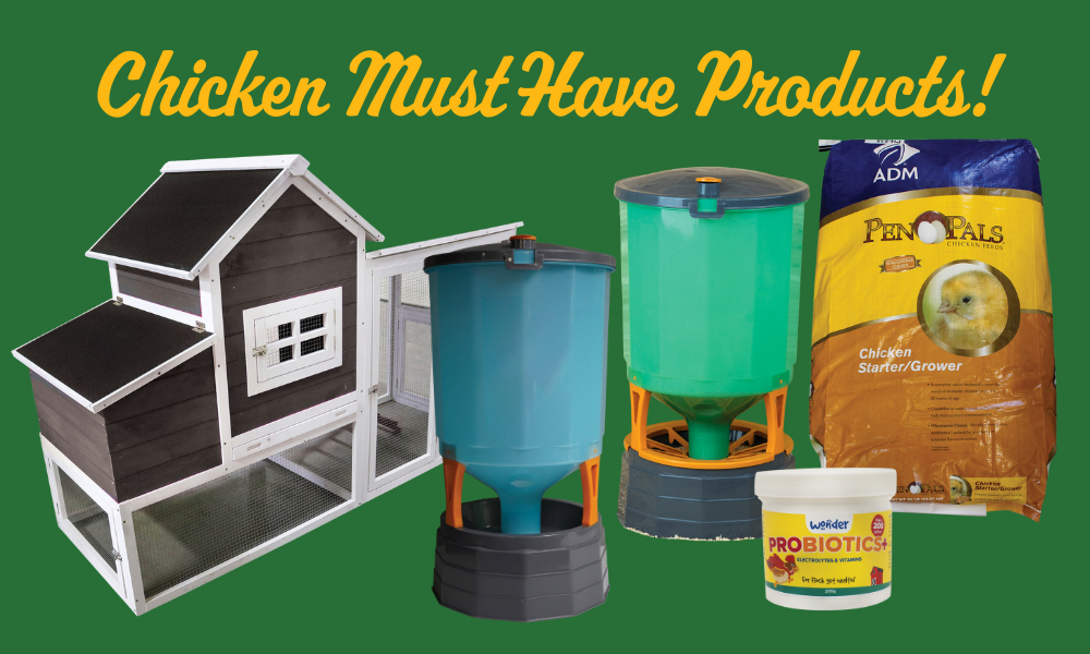 Adult Chicken Supplies Adult Chicken Supplies