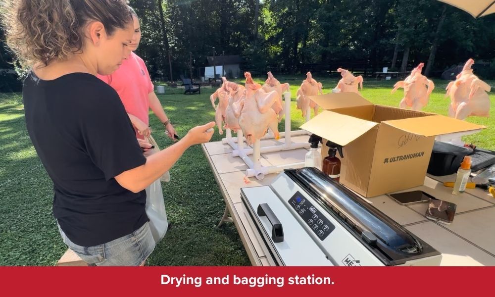 Meat Bird Processing