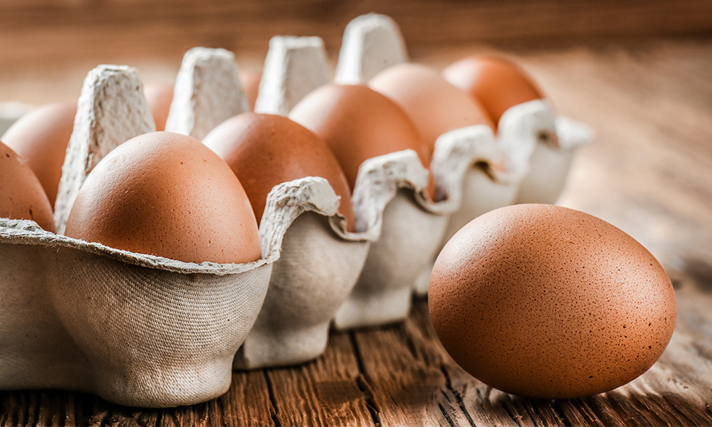 eggs-in-carton-adobestock-303088290.jpeg.jpg