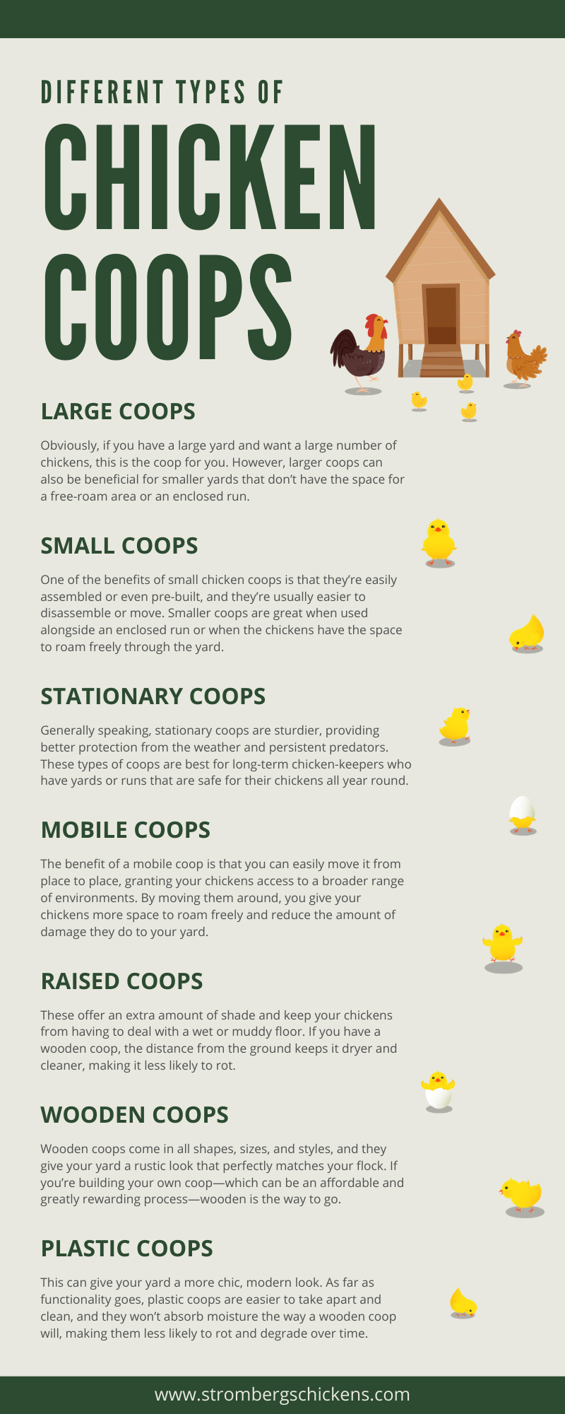 Different Types of Chicken Coops Infographic