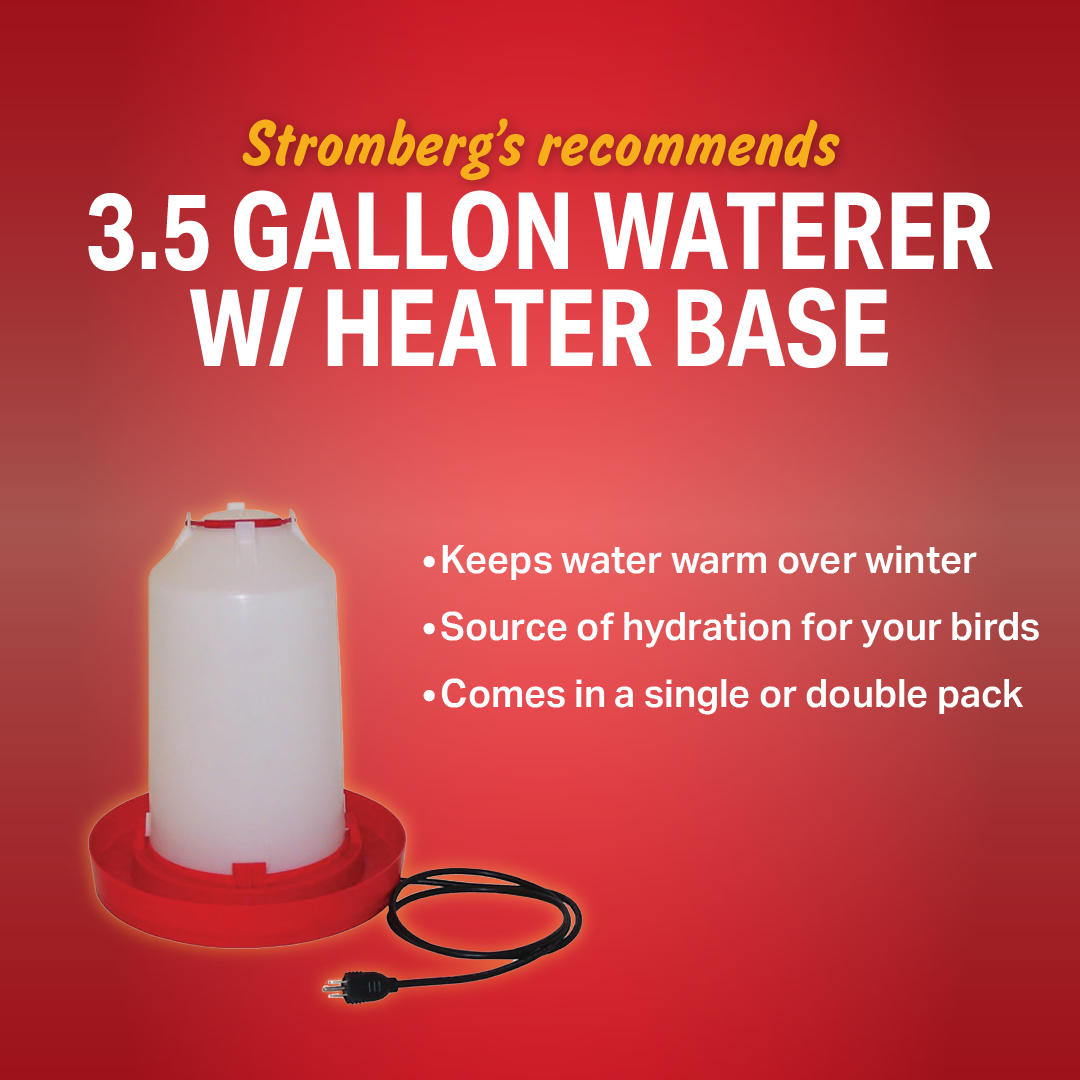 3.5 Gallon waterer w/ heater base
