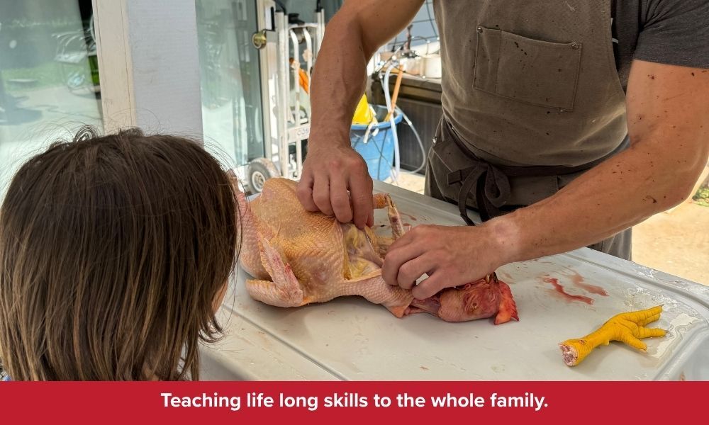 Meat Bird Processing