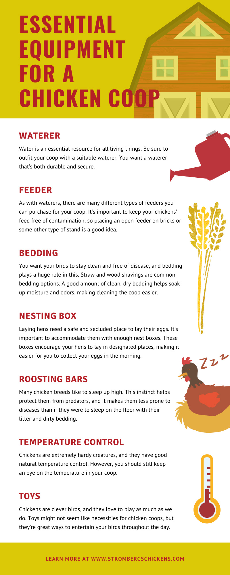 Essential Equipment For a Chicken Coop