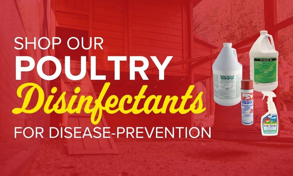 Shop Poultry Disfectants 