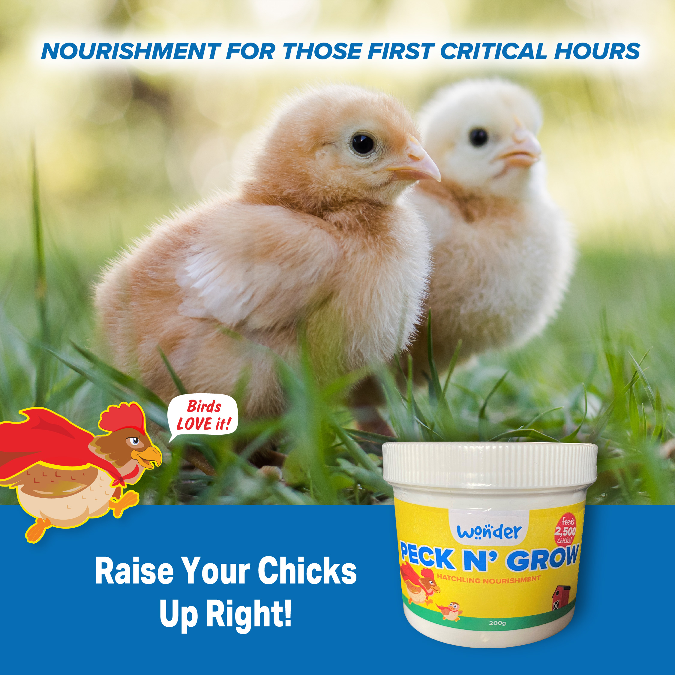 Wonder Peck N' Grow provides vital nourishment to your chicks in those first critical hours. Available at Stromberg's Chicks and Game Birds.