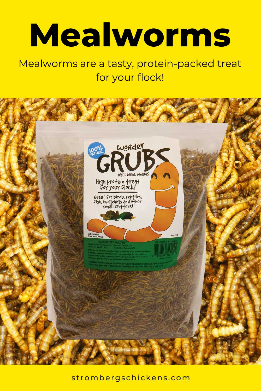 Mealworms are a tasty, protein-packed treat for your flock!